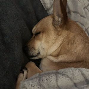 Meet your Posher, Faith